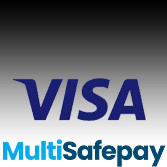 Picture of Visa payment plugin